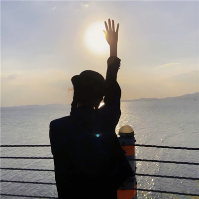 保山伴游女生公叔和平的资料