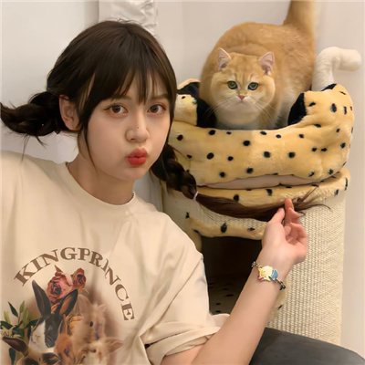 保山伴游女生茅紫杉的资料