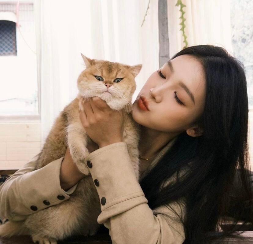 保山伴游女生苏涧的资料