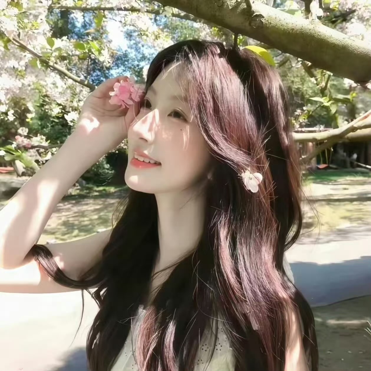 保山伴游女生林宝昕 🌃的资料