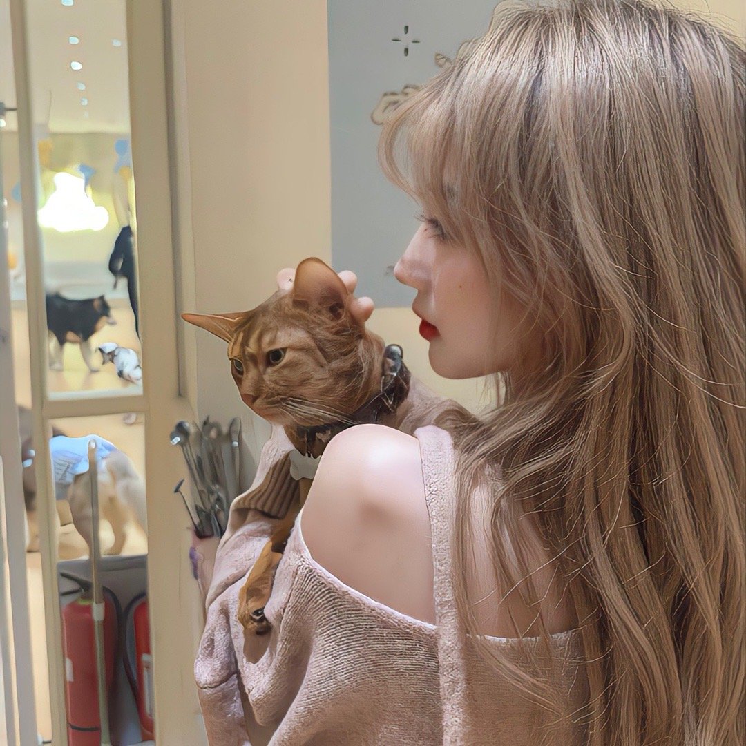 保山伴游女生苏雯萱的资料